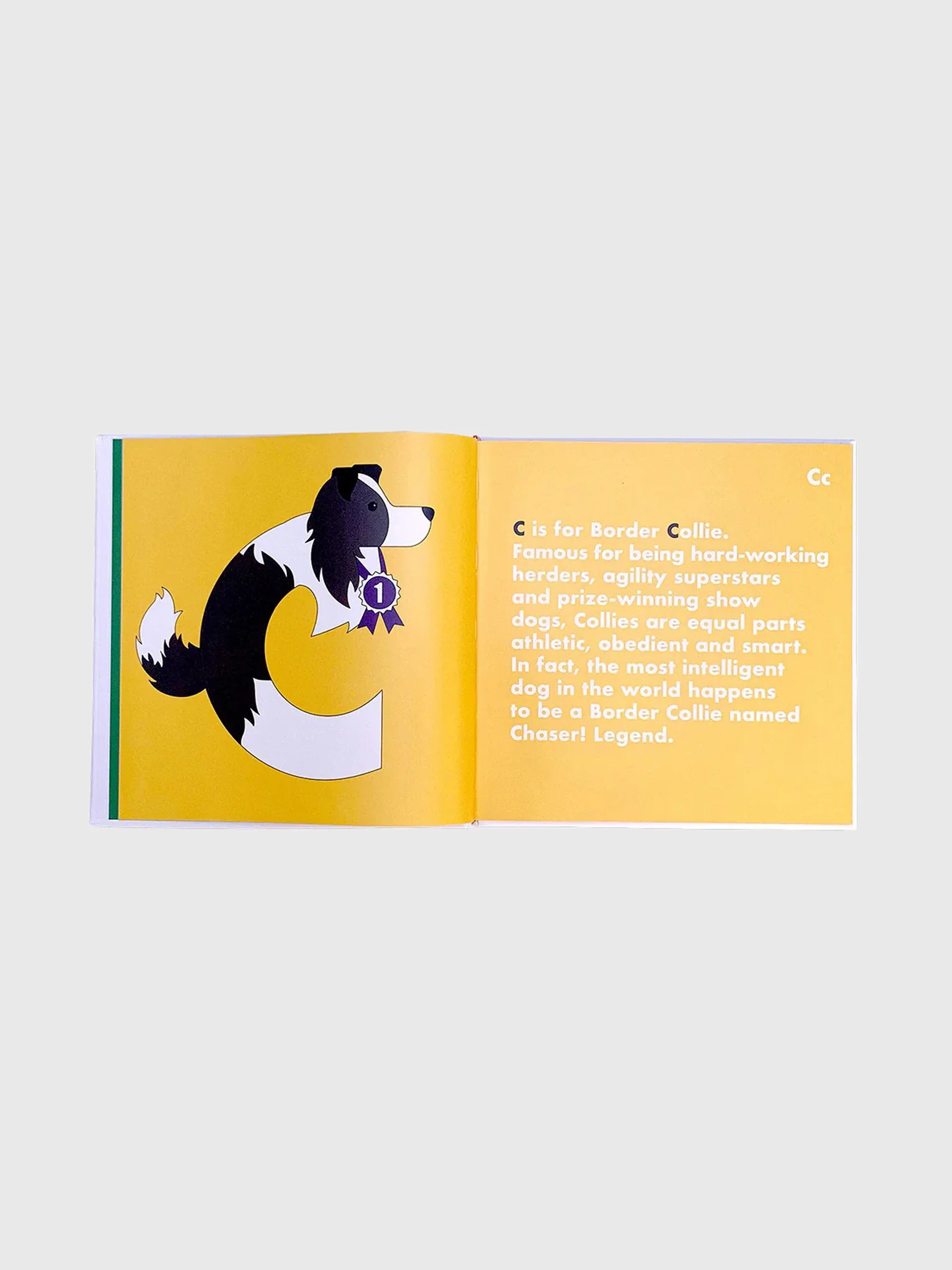 Alphabet Legends Dog Alphabet Book - Image 2