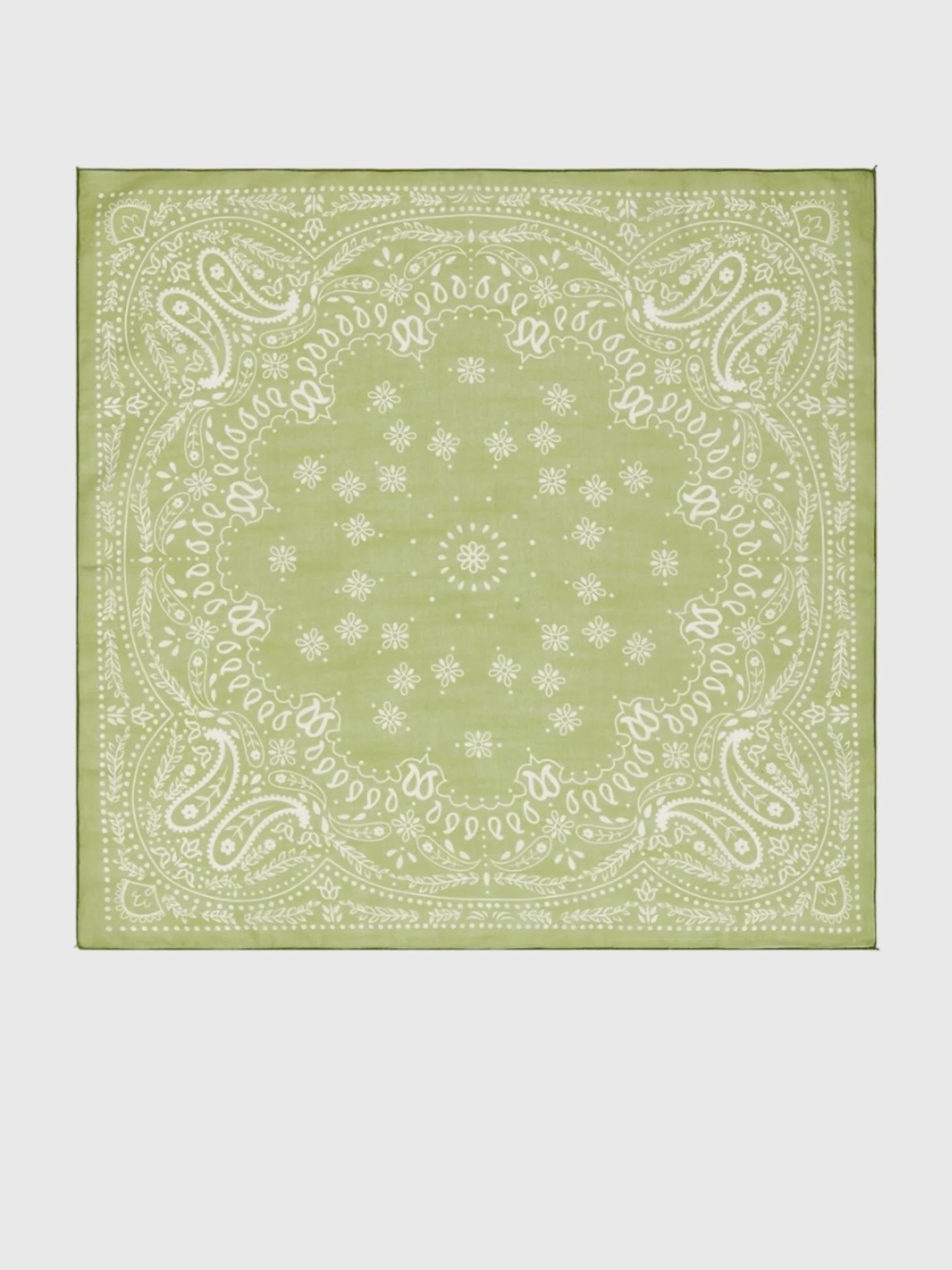 Casa Clara Women's Darcy Scarf