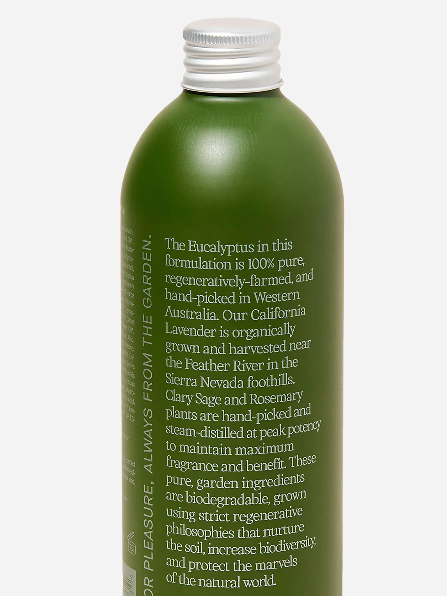 Flamingo Estate Rosemary Clary Sage Body Lotion - Image 2