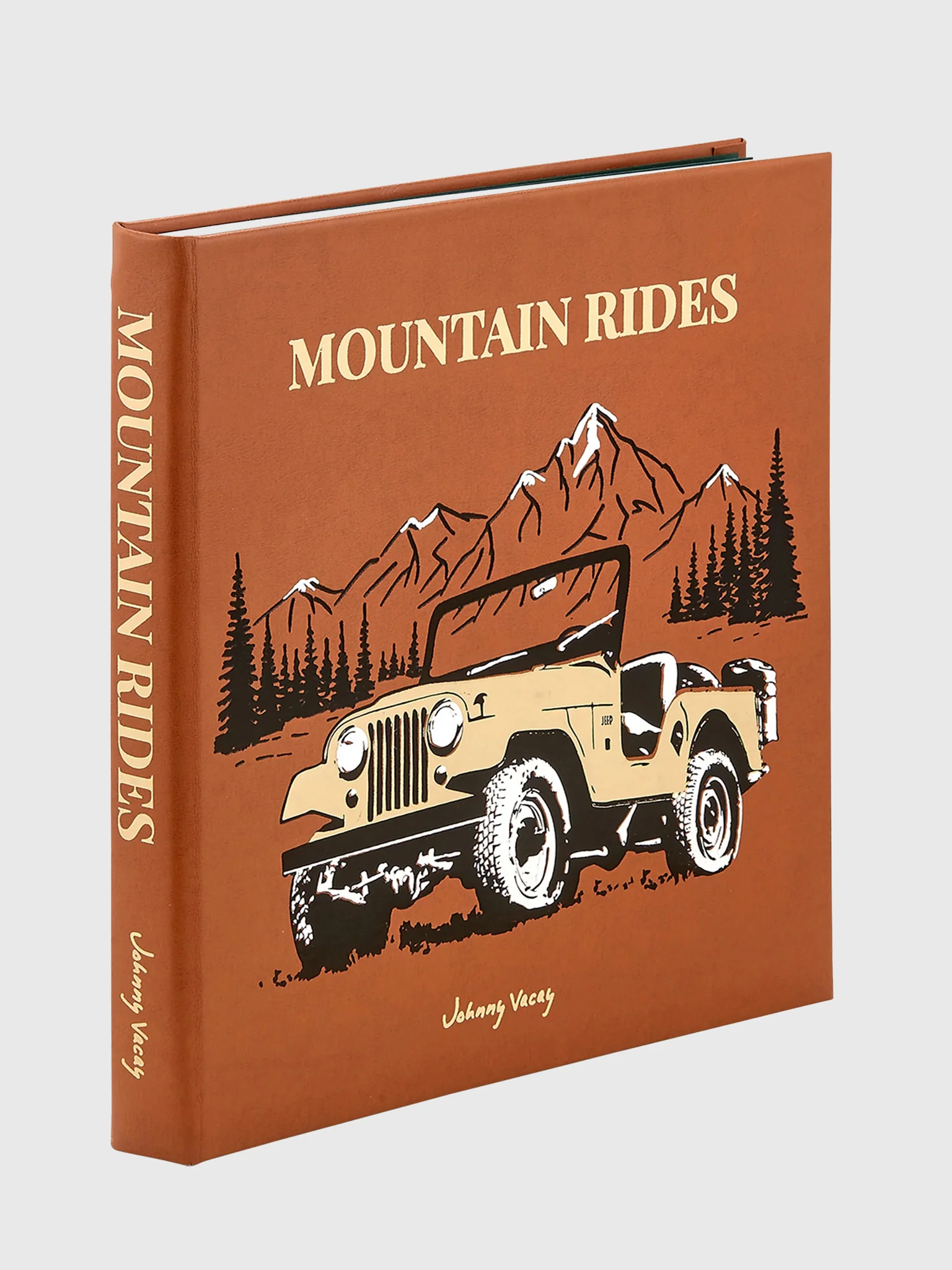 Graphic Image Mountain Rides