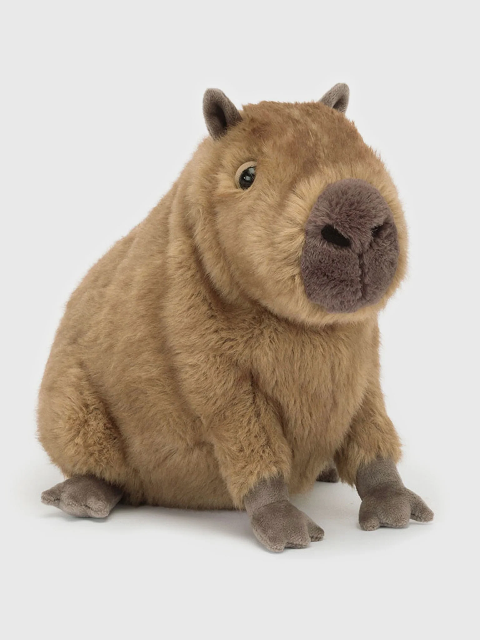 Jellycat Clyde Capybara Plush