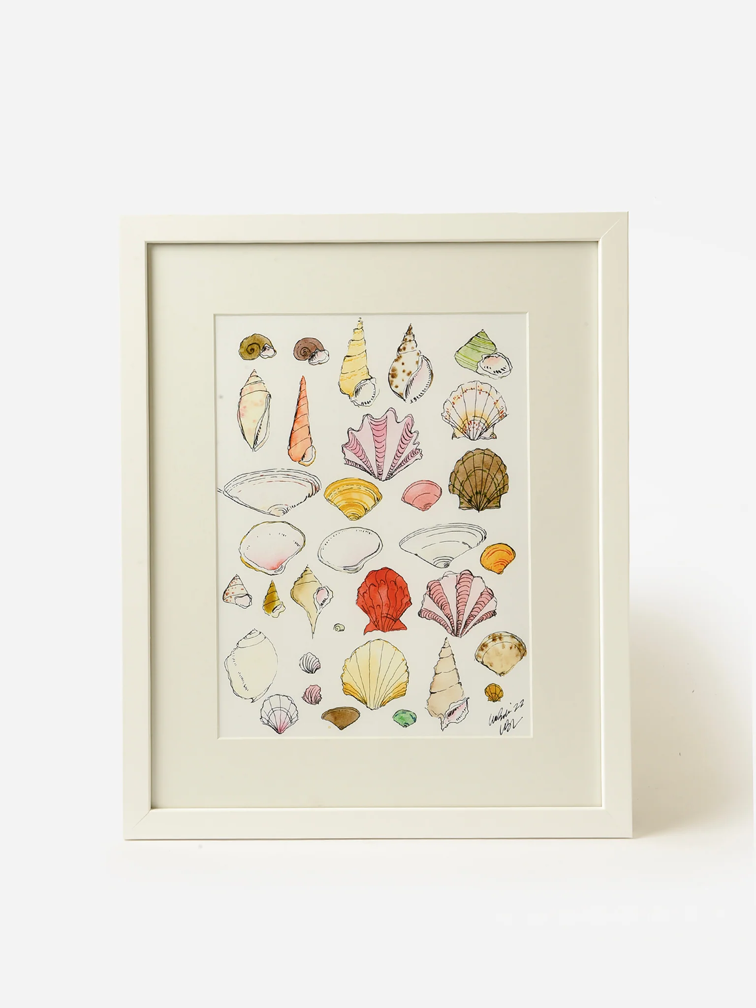 Lia Burke Libaire Colorful Shell Collection Framed Print