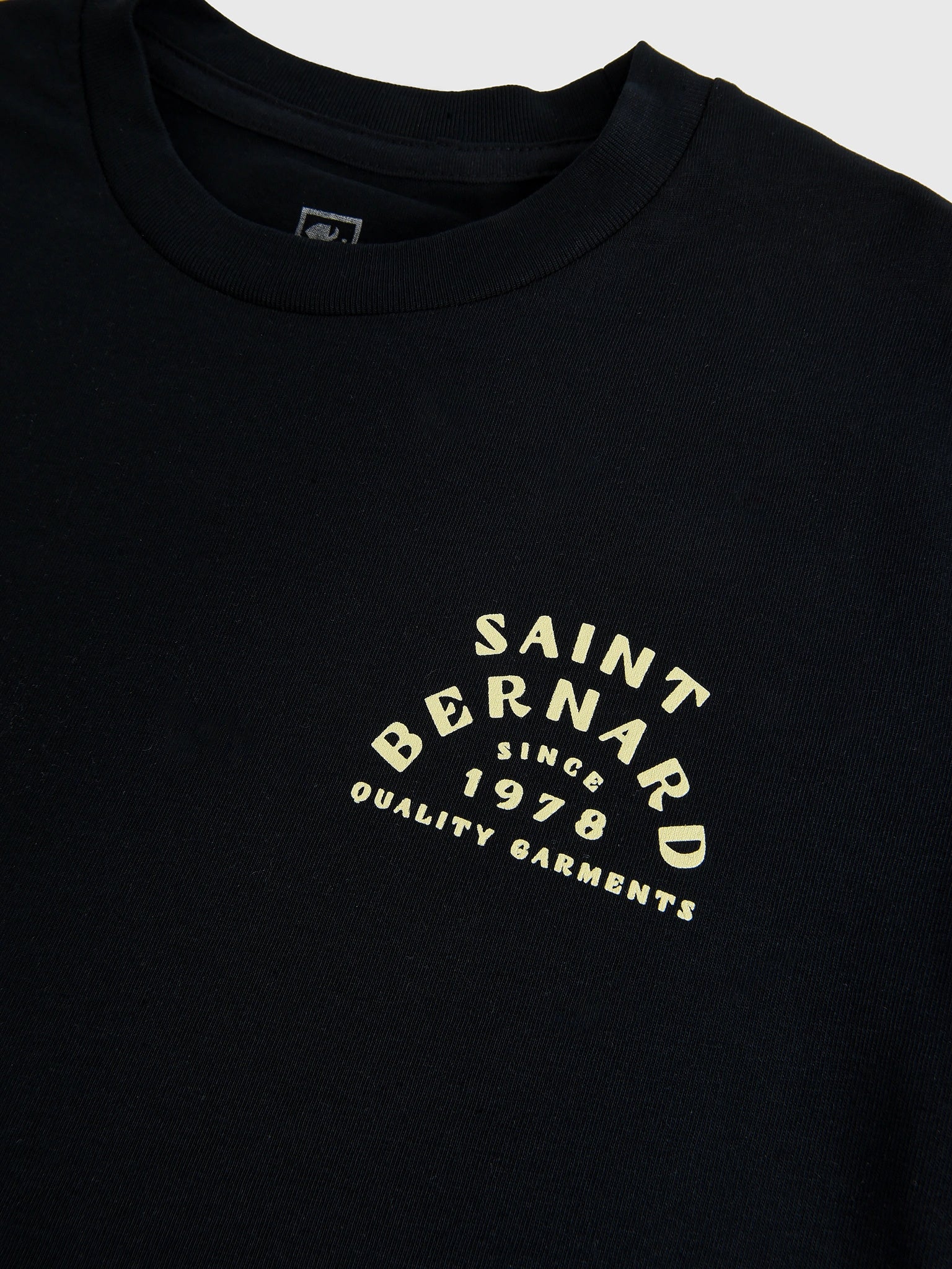 Saint Bernard Boys' Turtle Tee - Image 3